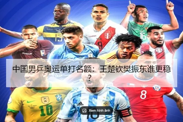 中国男乒奥运单打名额：王楚钦樊振东谁更稳？